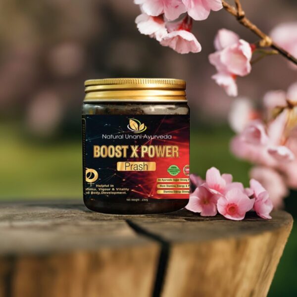 Boost X Power ( Prash) - Image 4