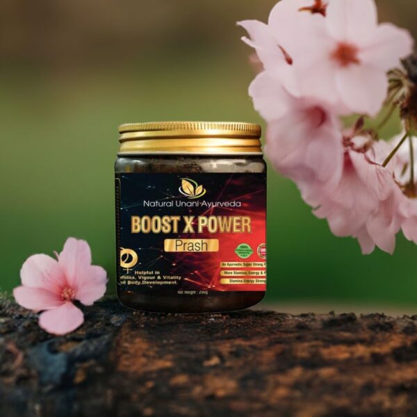 Boost X Power ( Prash) - Image 6