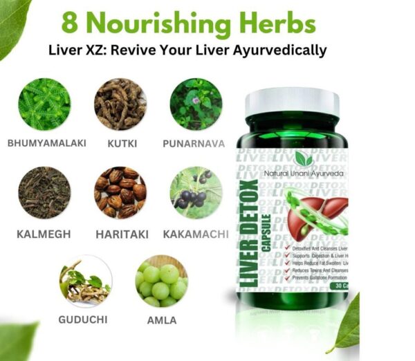 Liver Detox Capsule - Image 2